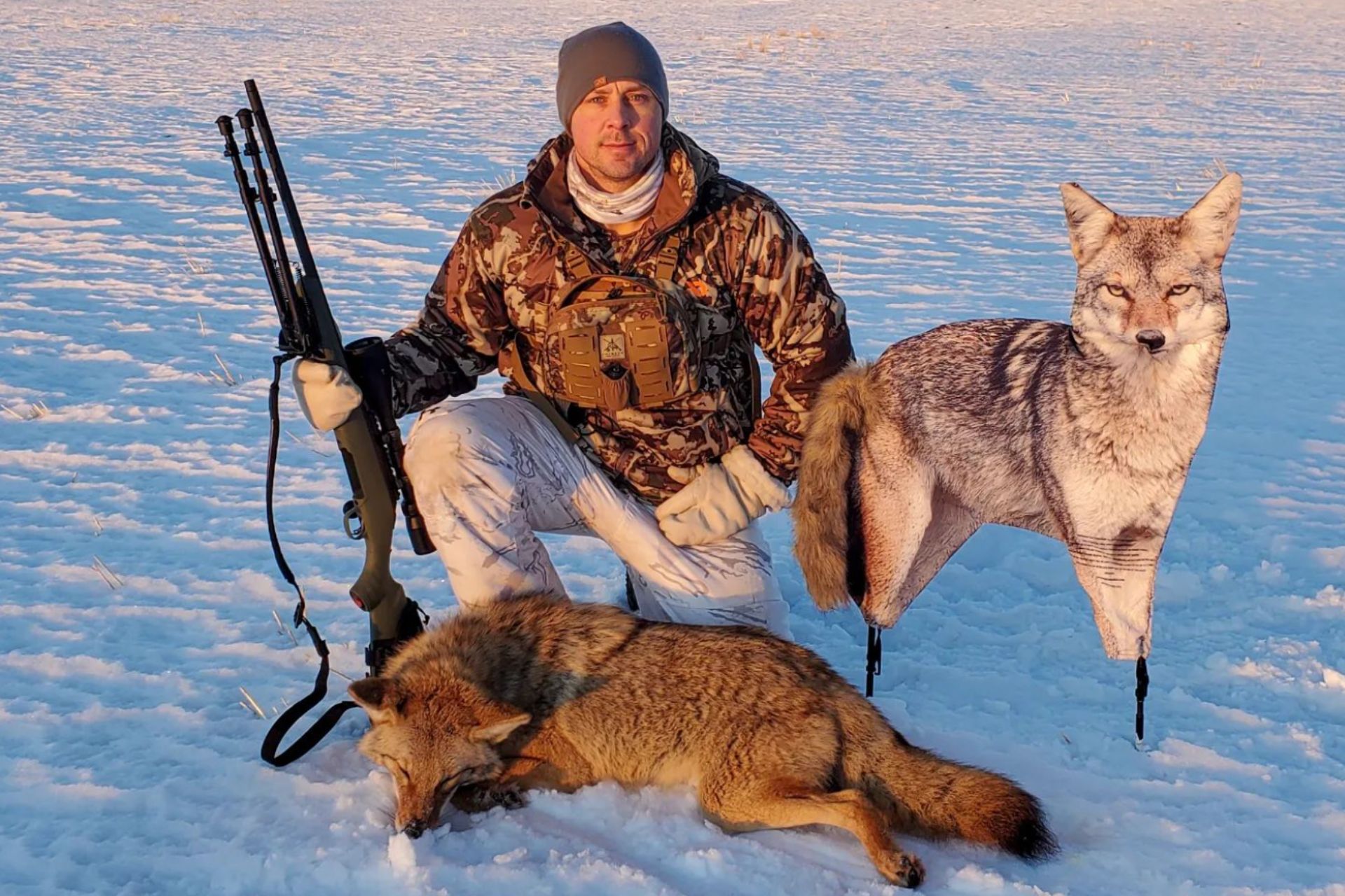 5 tips for bagging more coyotes