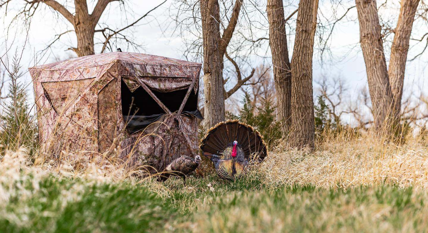 mistakes hunters make when using turkey decoys