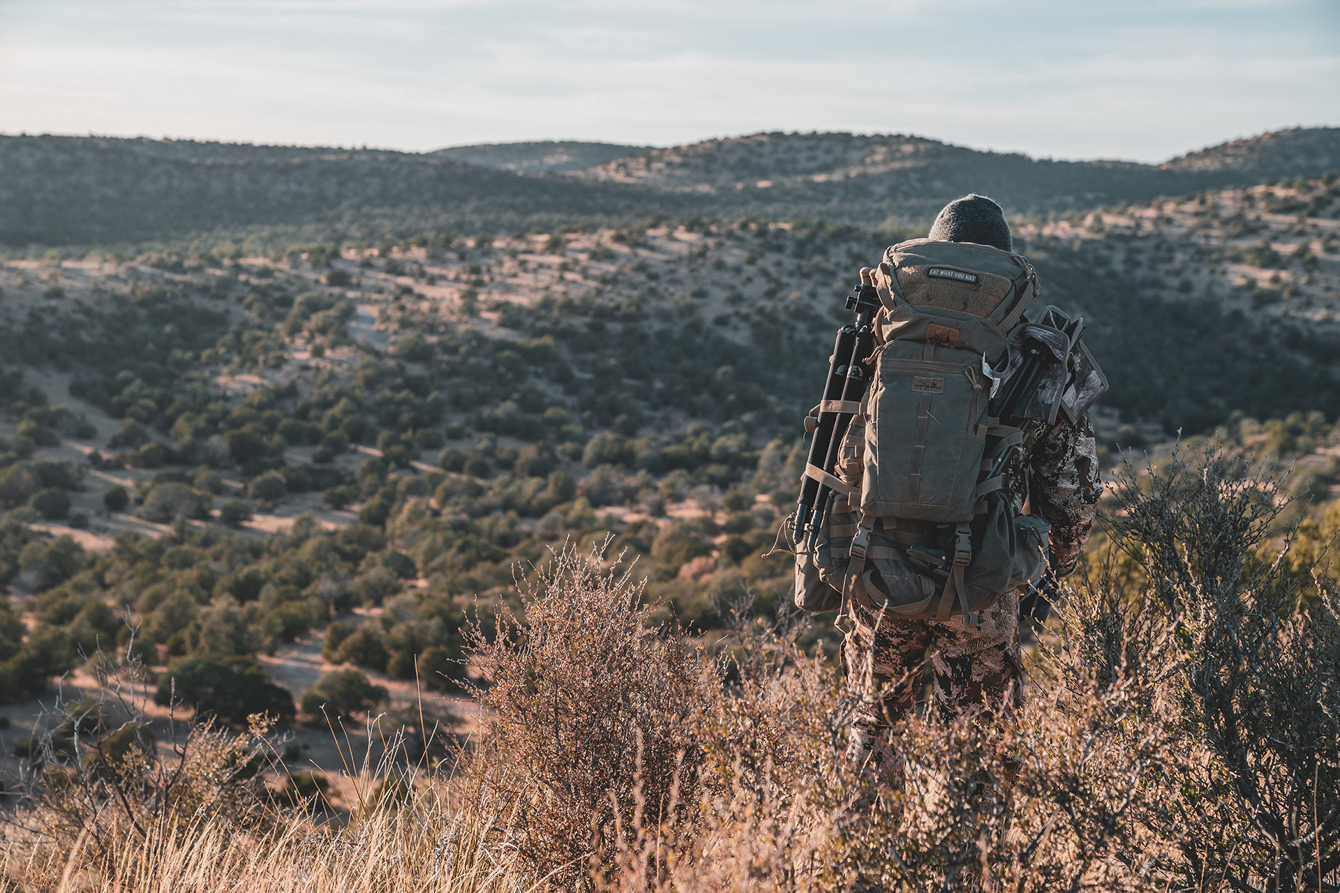 Learn the fundamentals of bow hunting elk to hopefully experience the adventure of a lifetime.