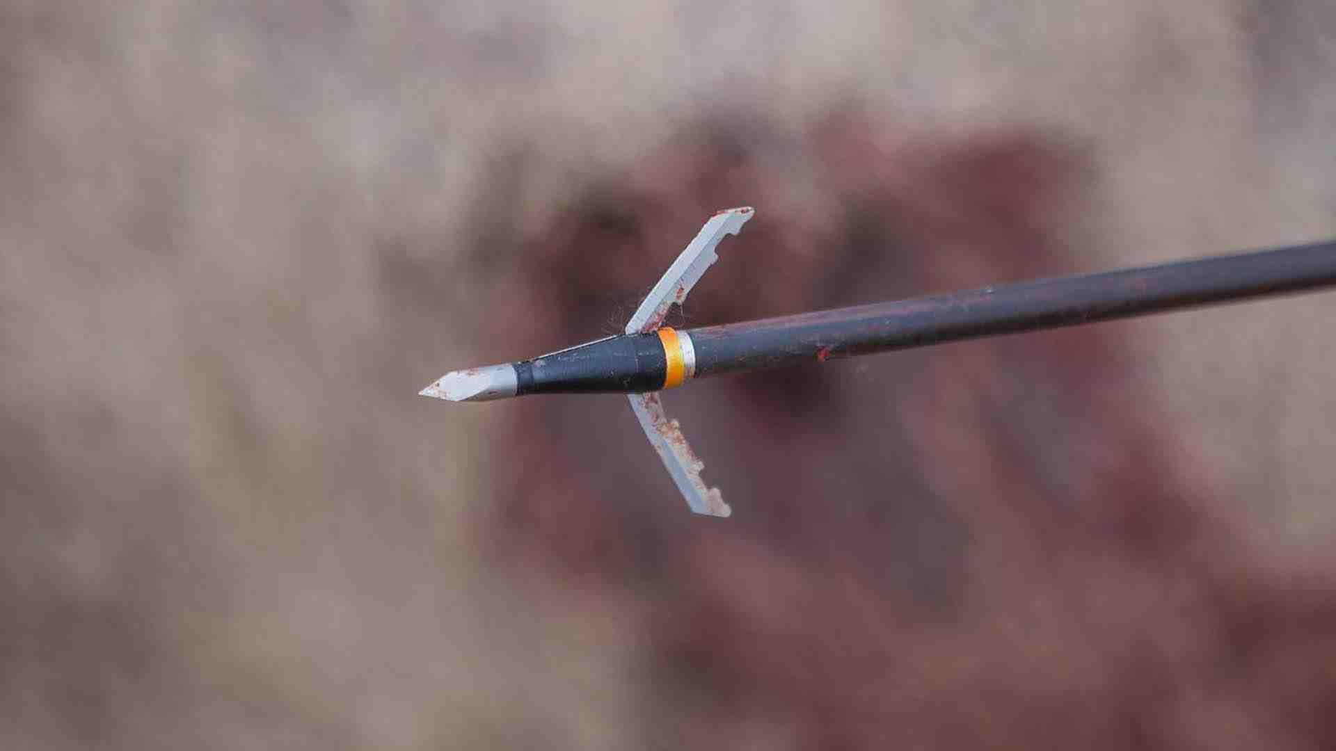 Mechanical broadheads for deer hunting, such as the Jak-Knife from Wasp Archery, create a larger cutting area than traditional heads.