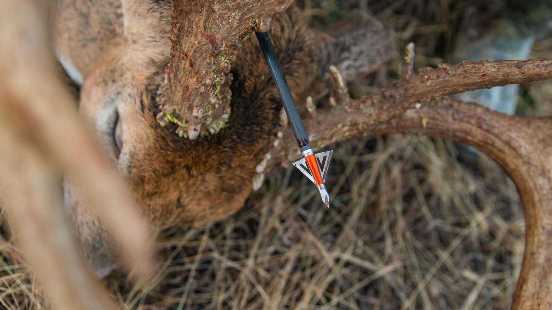 Fixed broadheads are the classic style that has been used since the stone age.