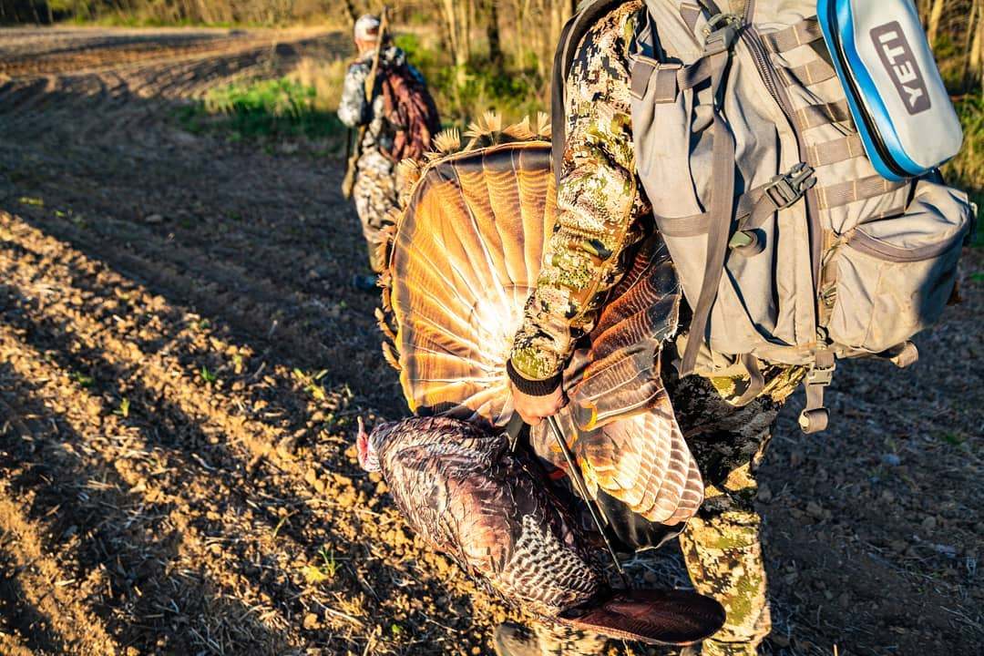 4 MISTAKES HUNTERS MAKE WHEN USING TURKEY DECOYS - Montana Decoy