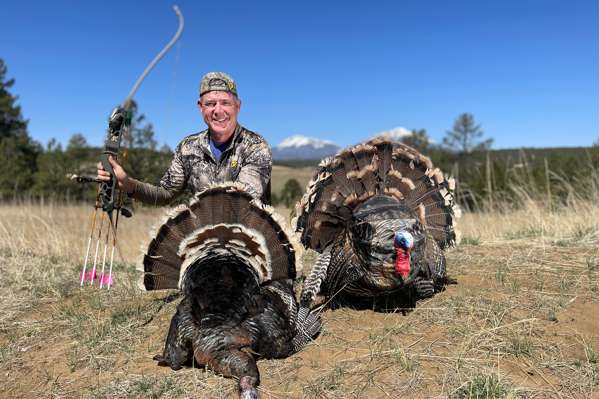 Turkey reaping is the stalking and killing of a tom turkey using a decoy of a strutting gobbler as cover.