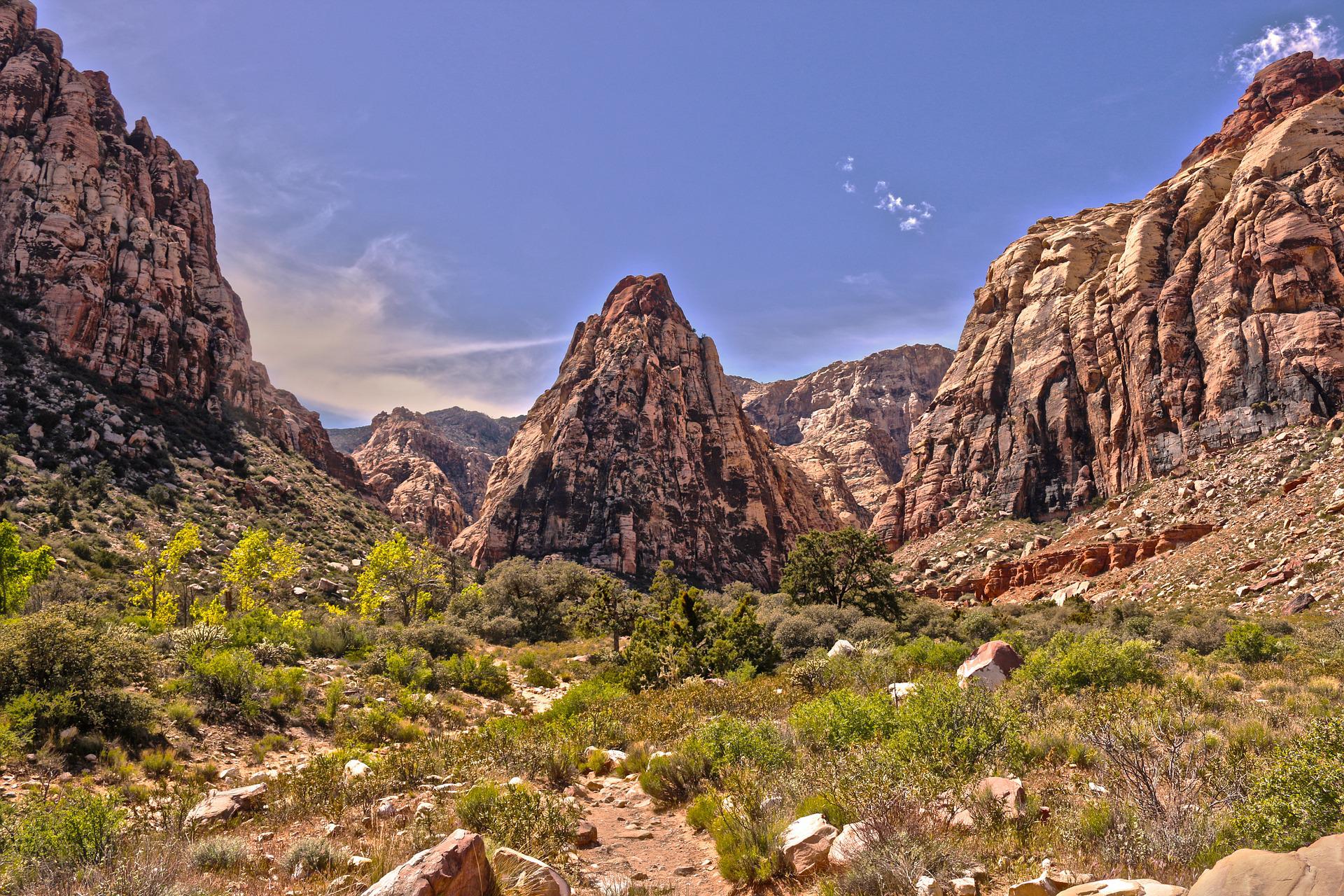 Spotting bighorn sheep among the rocky outcroppings they call home requires plenty of time glassing.