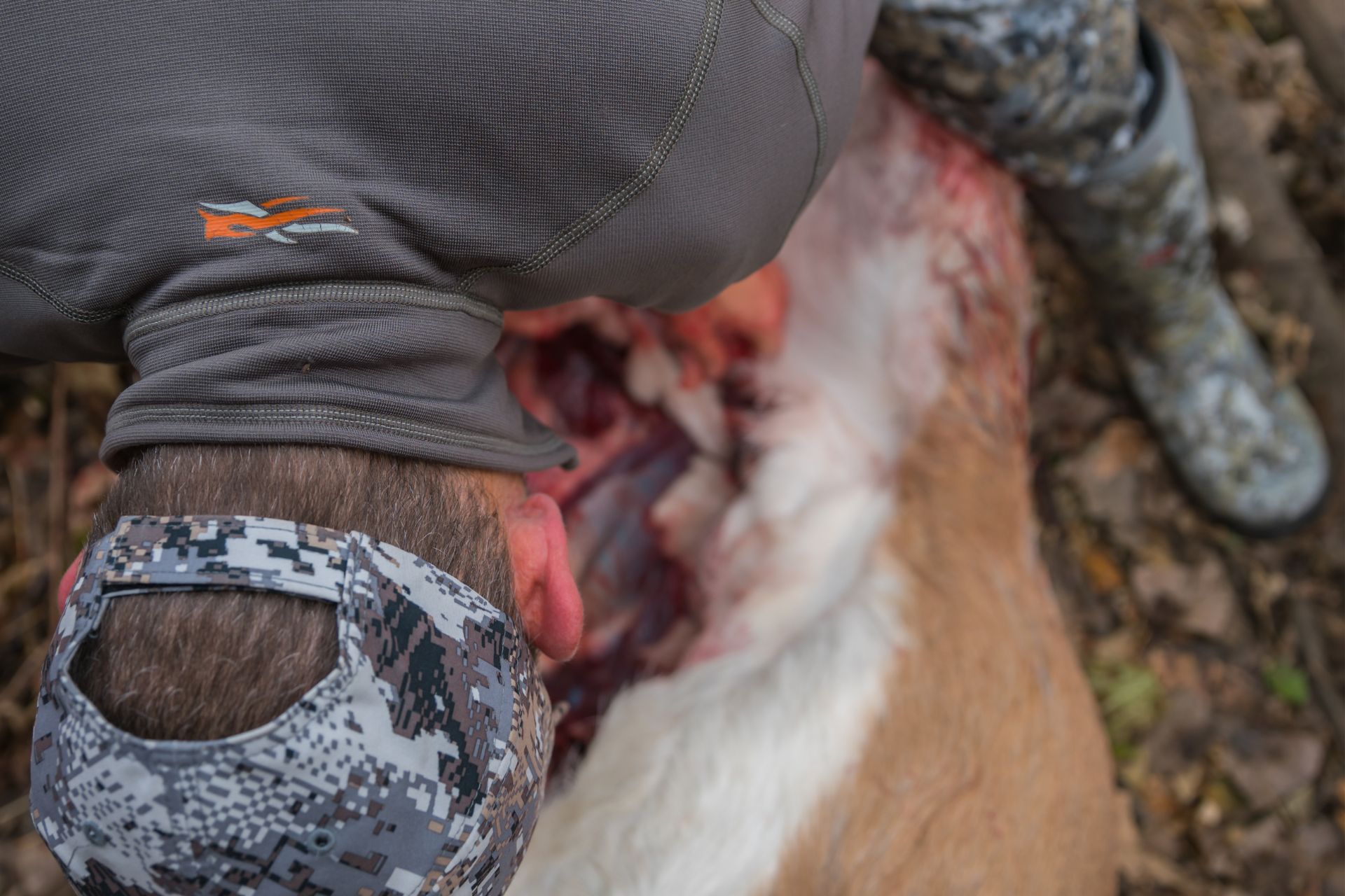 This guide to field dressing a deer for beginners explains a crucial step in processing your deer. We’ll explain how to field dress your deer quickly and easily.  