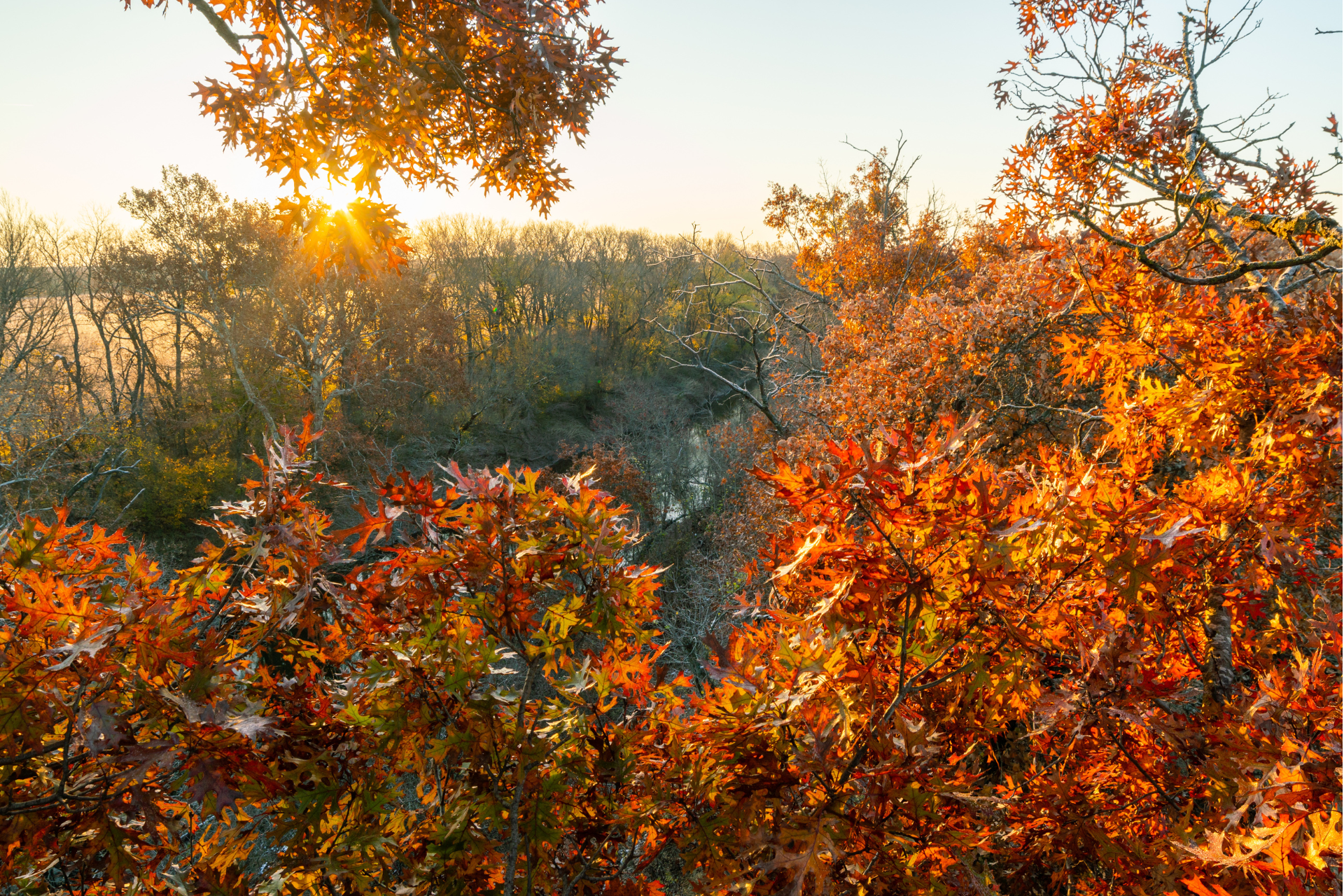 Deer hunting in urban areas is different from hunting whitetails in other types of settings; it takes the right tactics coupled with caution and coordination.