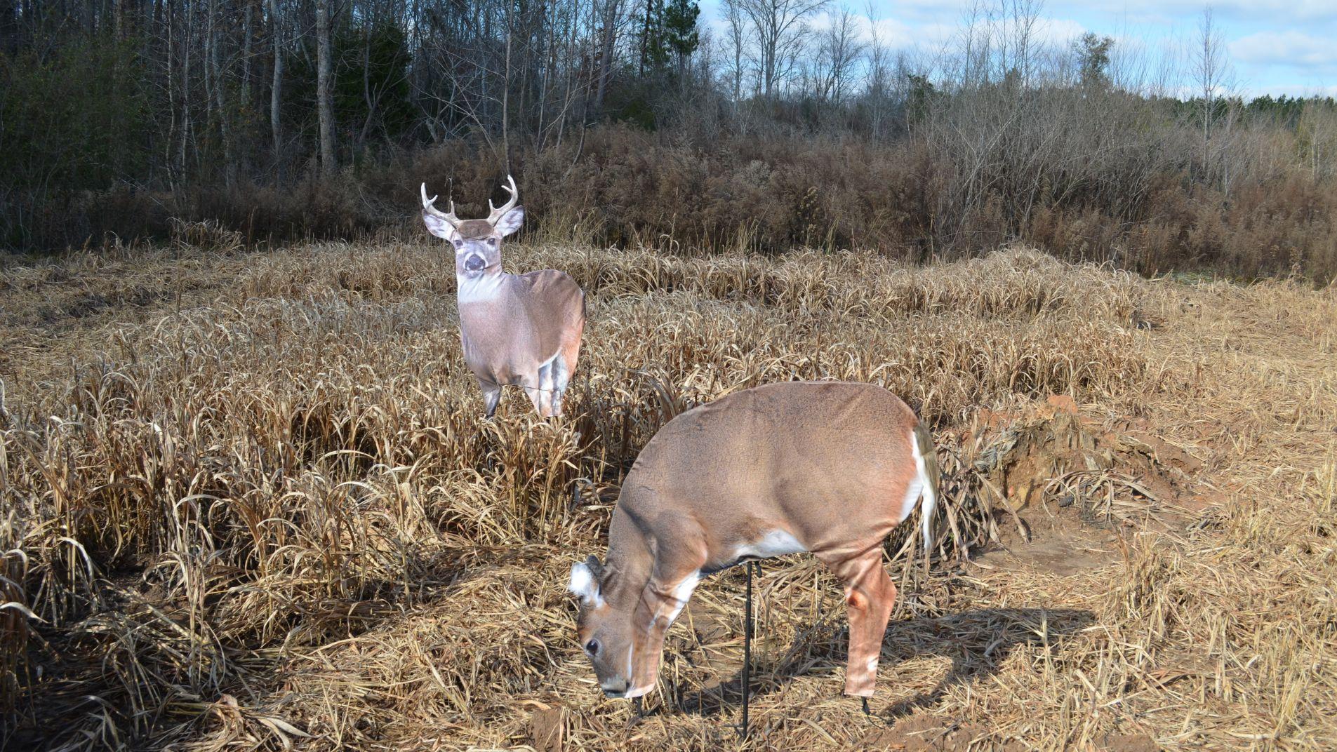 During the peak of the rut, deer decoys like the Archer's Choice Plot Pack can draw bucks close.