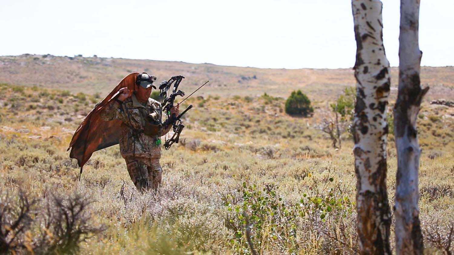 Practicing a stalk on other animals can be a great way to hone your skills for getting in close.