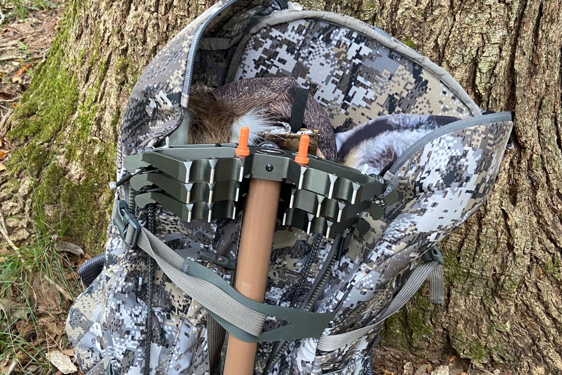 Must-Have Gear for Tree Saddle Hunters