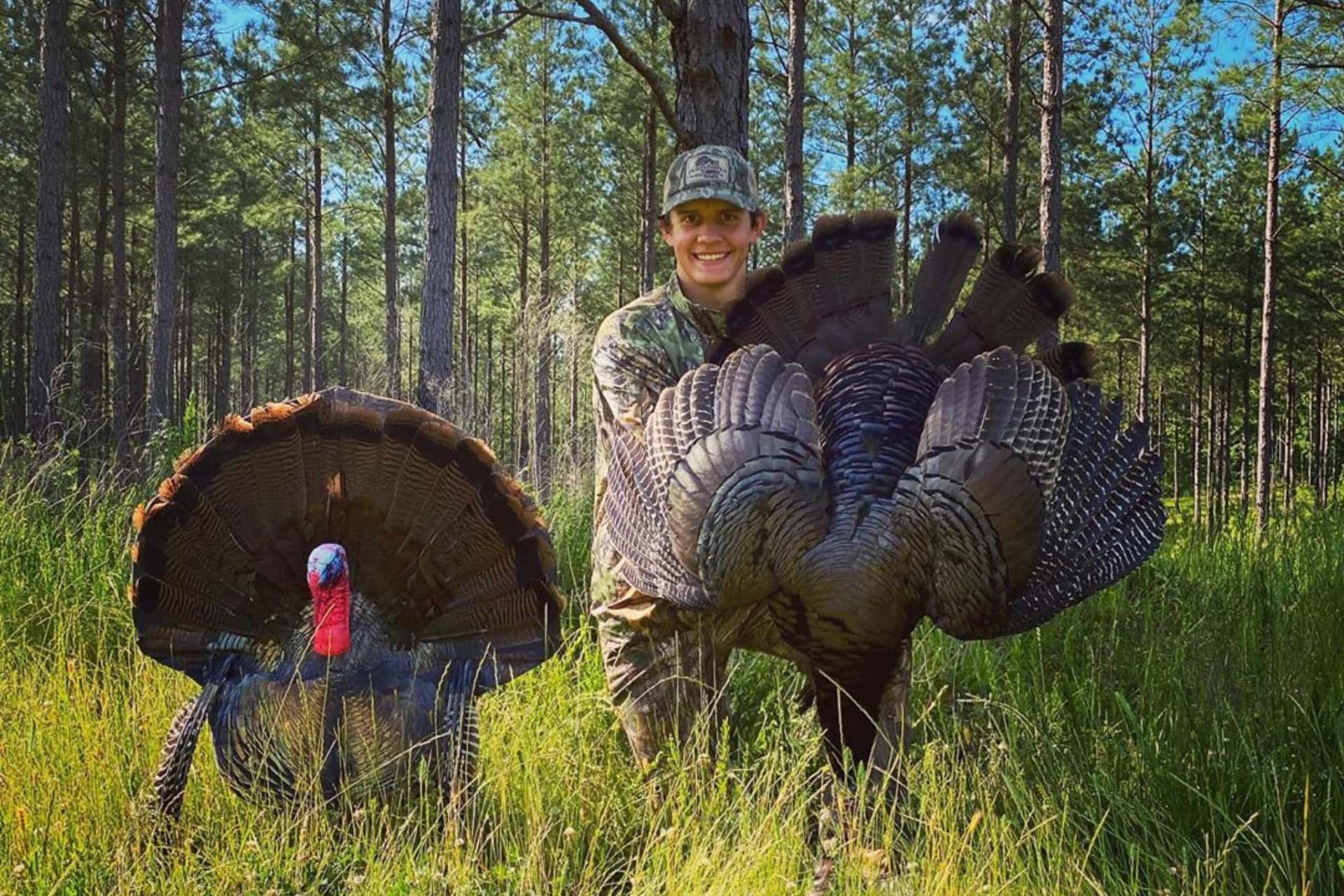 "Flashing" the Wiley Tom 2D reaping decoy to a hung-up gobbler can cause him to charge right in.